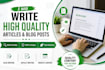 write SEO friendly articles and blog posts