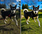 professionally edit your photos naturally