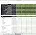 create a professional budget model and financial plan