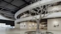 design 3d art gallery,museum and modern exhibition spaces with realistic render