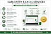 provide accurate data entry, excel formatting, web research