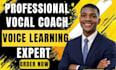 vocal coach voice lessons vocal coaching singing lessons vocal lessons vocal