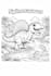 create professional coloring book interiors for KDP