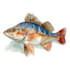 create fish, anything with watercolor style