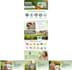 create premium amazon a plus content design