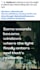 create aesthetic canva designs and write engaging captions