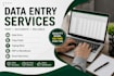 do data entry, copy typing, PDF to word and excel work