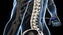 create premium 3d medical animation videos
