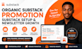 do organic substack promotion substack setup and newsletter growth