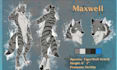 do furry ref sheet, furry sticker furry reference sheet character design