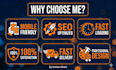 build a professional custom wordpress website for business