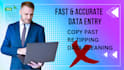 do data entry,copy paste,typing and clean your business