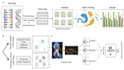 ai computer vision machine learning and deep learning tasks