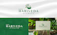 create premium logo design for your business