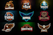 design animal, mascot logo, wolf, tiger, eagle, bear, fox