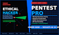 do professional penetration testing and security assessment