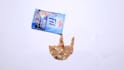 create stop motion video for social media
