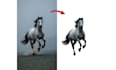 remove background from images professionally