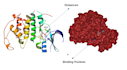 do molecular docking amdet and molecular dynamics simulation