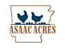 design a modern chicken and poultry logo