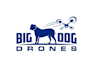 create a modern dog and drone mascot logo