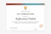 deliver SEO optimized blogs and articles