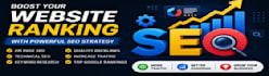 do professional SEO for your website