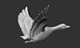 do model and sculpt 3d models for you