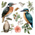 draw a scientific illustration