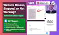 fix elementor bug, wordpress errors and woocommerce issues