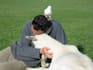 provide a deep thinker sanctuary