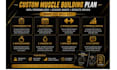 create a personalized muscle building workout plan