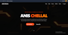 professional web interface designer