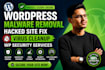 wordpress malware removal, hacked site fix, virus cleanup, wp security services