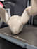 print 3d custom models