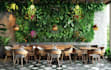 design graffiti designs, murals and wall arts