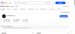 do expert ebay account management and product listing