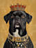 draw pet portrait illustration