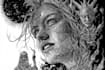 make a vector art portrait,silhouette in black and white