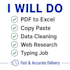 do excel data entry, PDF to excel, copy paste