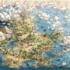 create detailed fantasy continent and world maps