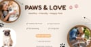 create professional  social media ads