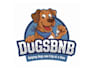 create a professional pet travel logo design
