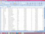 handle microsoft excel tasks, spreadsheets, formulas and dashboards
