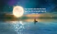 design professional social media quote posts in canva