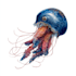 hand painted realistic watercolor animals illustration