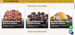 design a responsive business website
