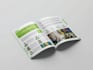 design a professional print and digital catalog from scratch