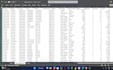 do excel data entry, data cleaning, and data analytics