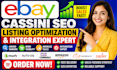 optimize ebay listing product cassini seo offer setup issue on integration